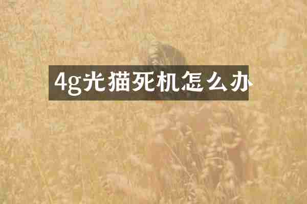 4g光猫死机怎么办