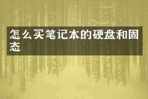怎么买笔记本的硬盘和固态