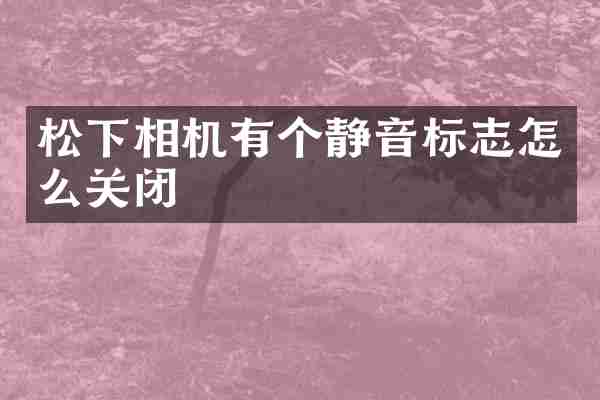 松下相机有个静音标志怎么关闭