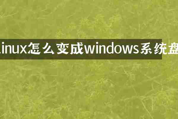 linux怎么变成windows系统盘