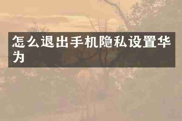 怎么退出手机隐私设置华为