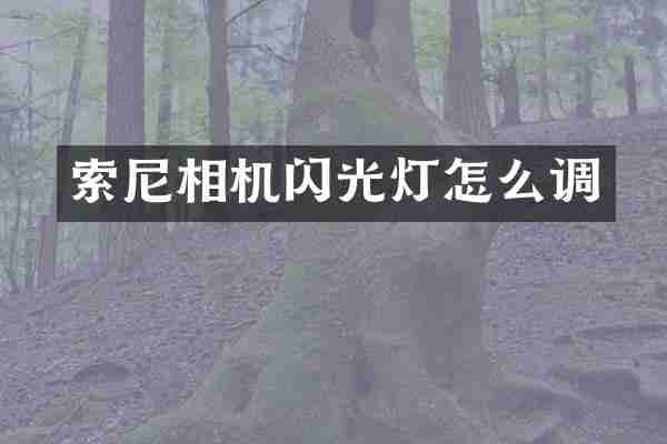 索尼相机闪光灯怎么调