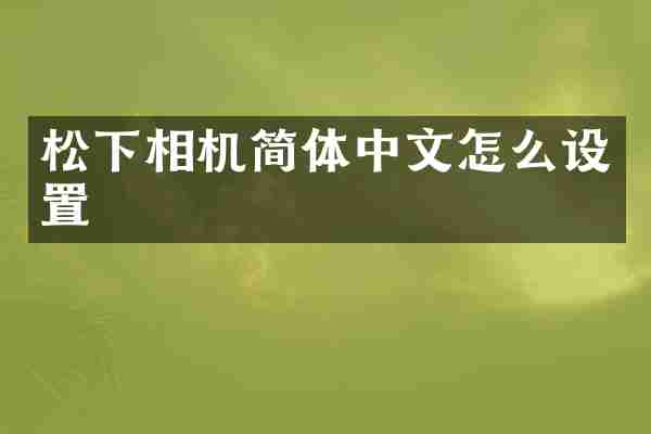 松下相机简体中文怎么设置