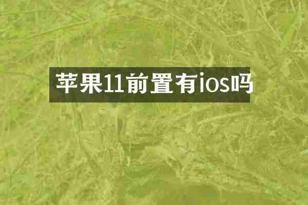 苹果11前置有ios吗