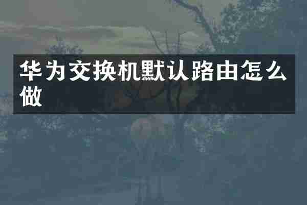 华为交换机默认路由怎么做
