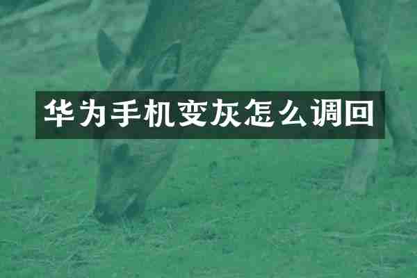 华为手机变灰怎么调回