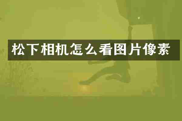 松下相机怎么看图片像素