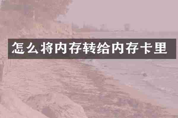 怎么将内存转给内存卡里