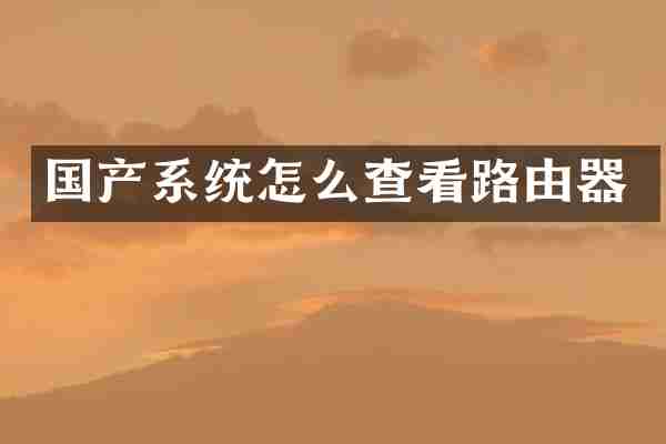 国产系统怎么查看路由器