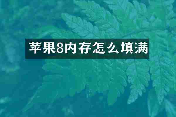 苹果8内存怎么填满
