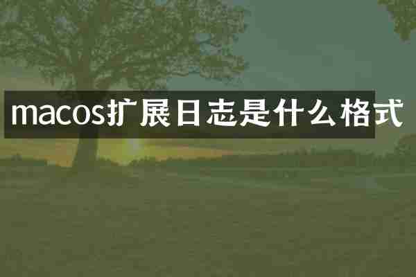 macos扩展日志是什么格式