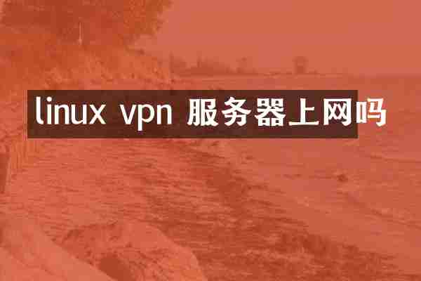 linux vpn 服务器上网吗
