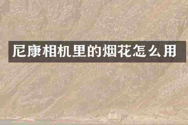 尼康相机里的怎么用