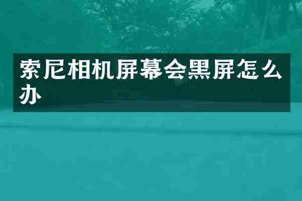 相机屏幕会黑屏怎么办