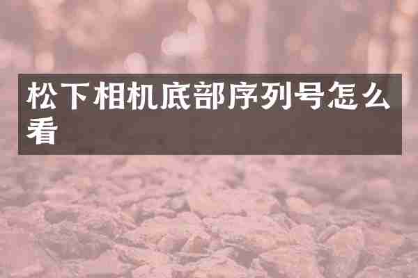 相机底部序列号怎么看