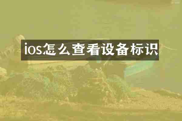 ios怎么查看设备标识