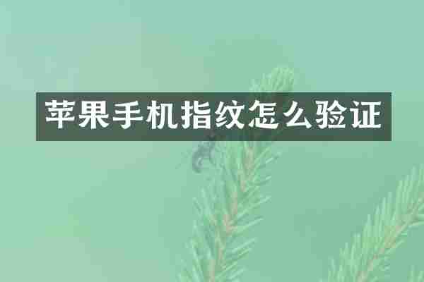 苹果手机指纹怎么验证