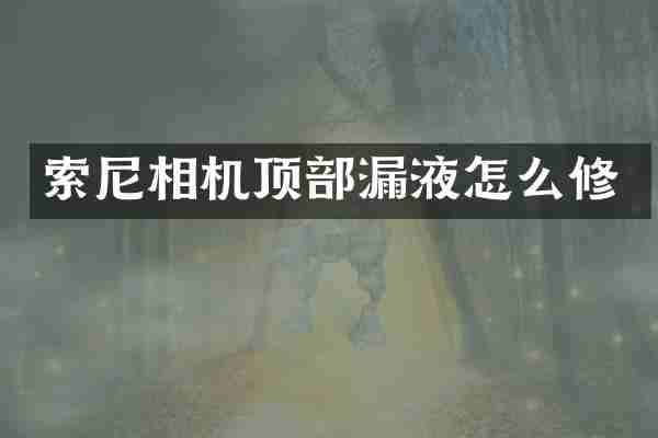 相机顶部漏液怎么修