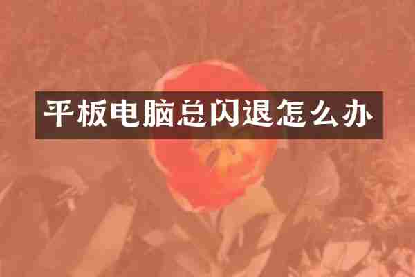 平板电脑总闪退怎么办