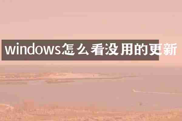 windows怎么看没用的更新