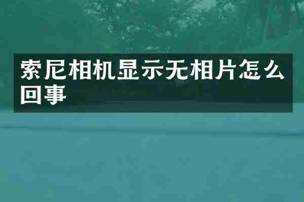 相机显示无相片怎么回事