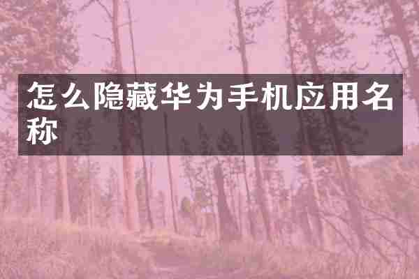 怎么隐藏华为手机应用名称