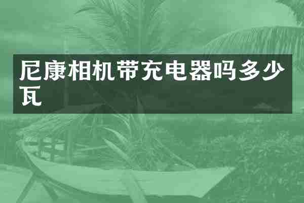 尼康相机带充电器吗多少瓦