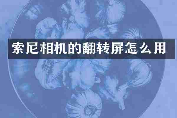 相机的翻转屏怎么用