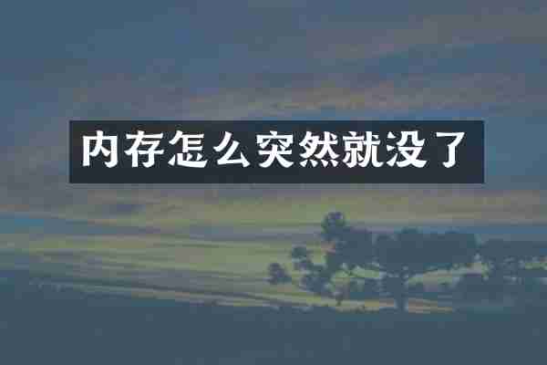 内存怎么突然就没了