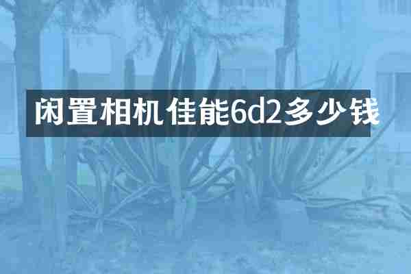 闲置相机佳能6d2多少钱