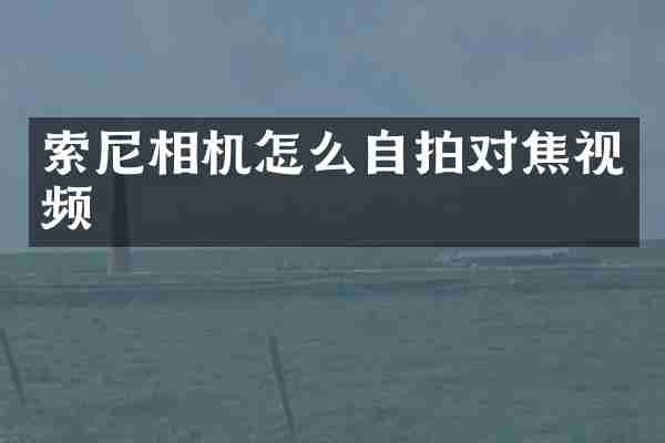 相机怎么对焦视频
