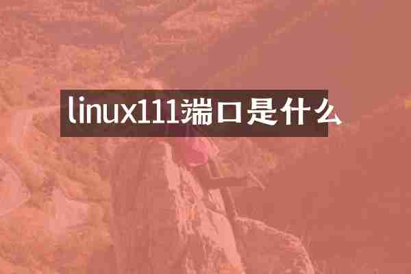 linux111端口是什么