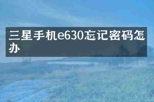 三星手机e630忘记密码怎么办