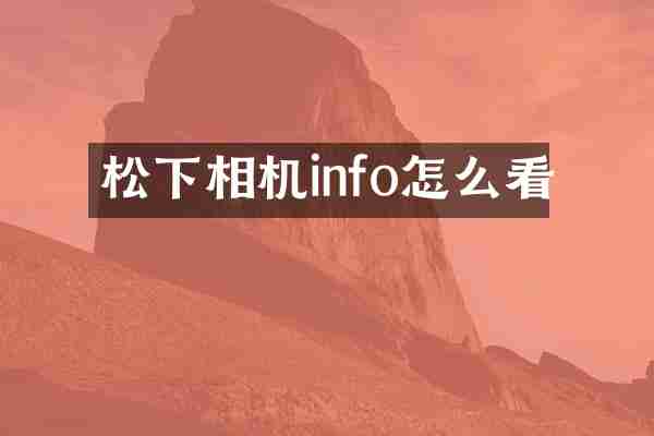 相机info怎么看