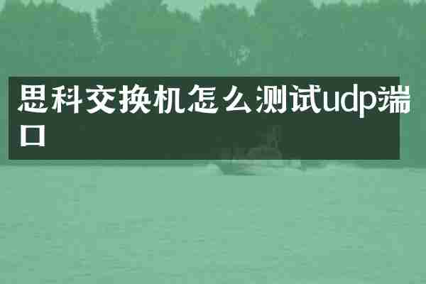 思科交换机怎么测试udp端口