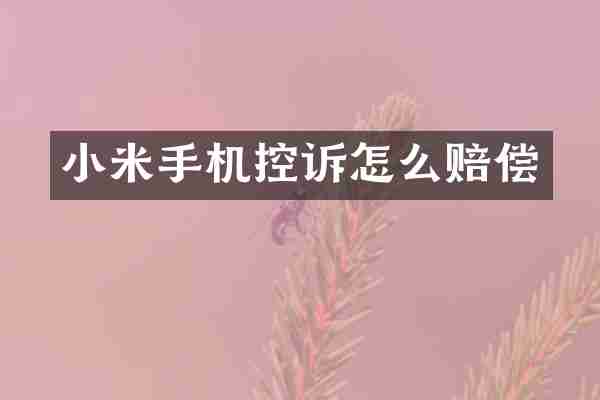 小米手机控诉怎么赔偿