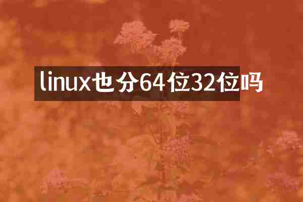 linux也分64位32位吗