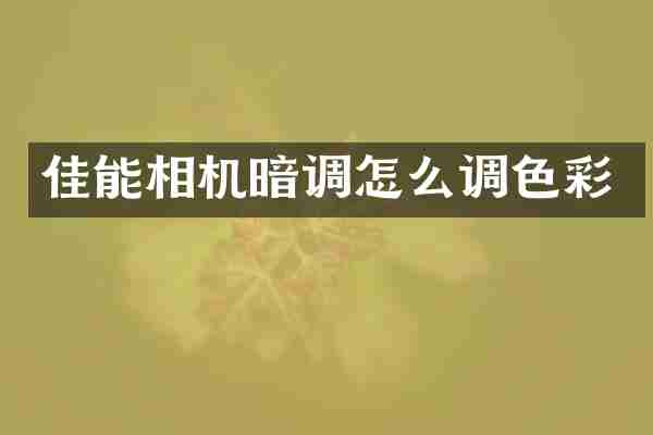 佳能相机暗调怎么调色彩