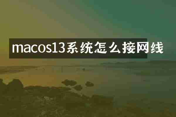 macos13系统怎么接网线