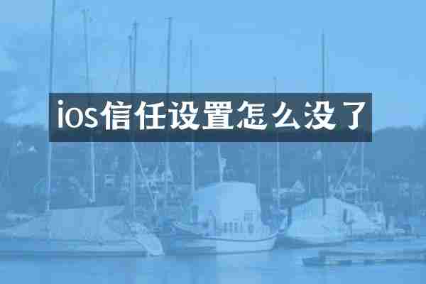ios信任设置怎么没了