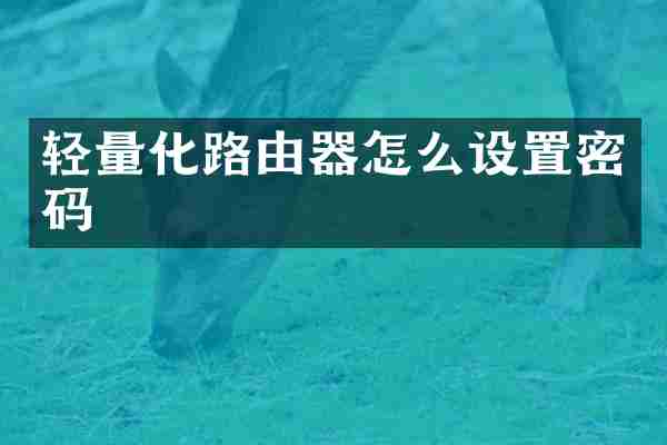 轻量化路由器怎么设置密码
