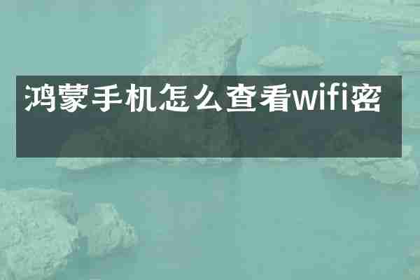 鸿蒙手机怎么查看wifi密码