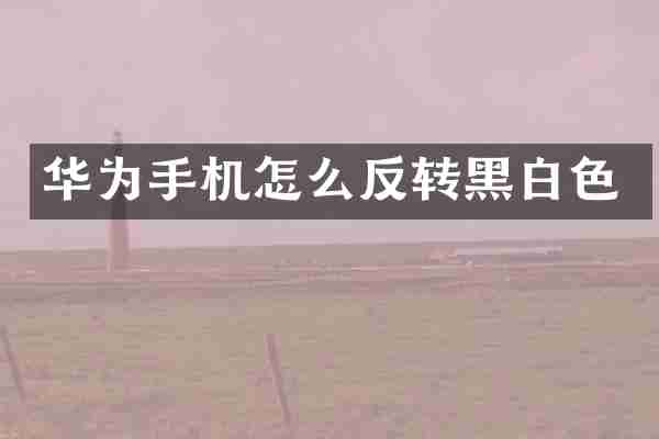 华为手机怎么反转黑白色