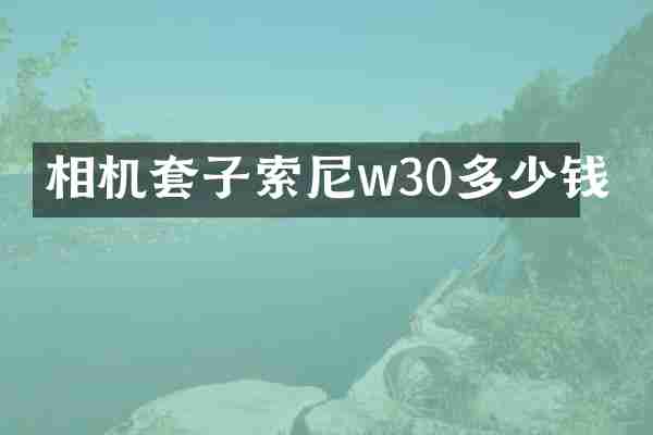 相机套子w30多少钱