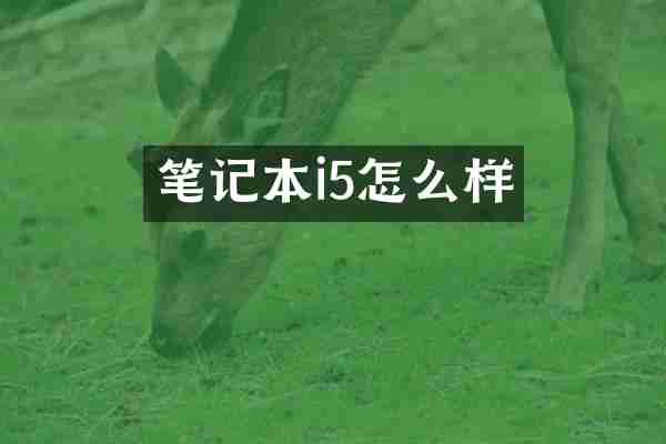 笔记本i5怎么样