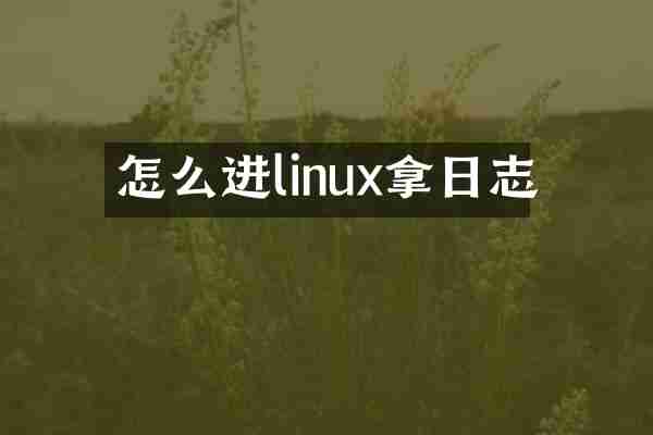 怎么进linux拿日志