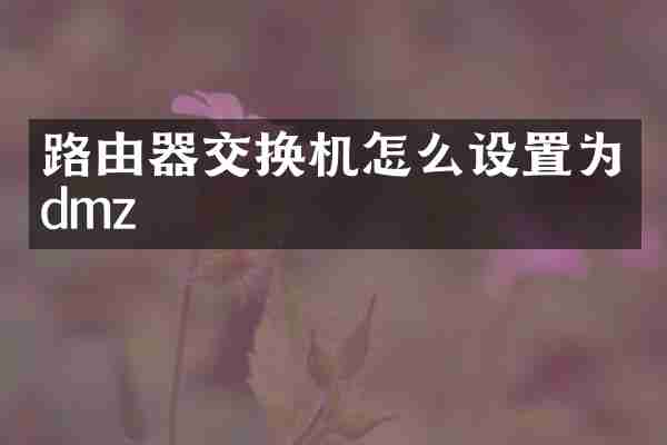 路由器交换机怎么设置为dmz