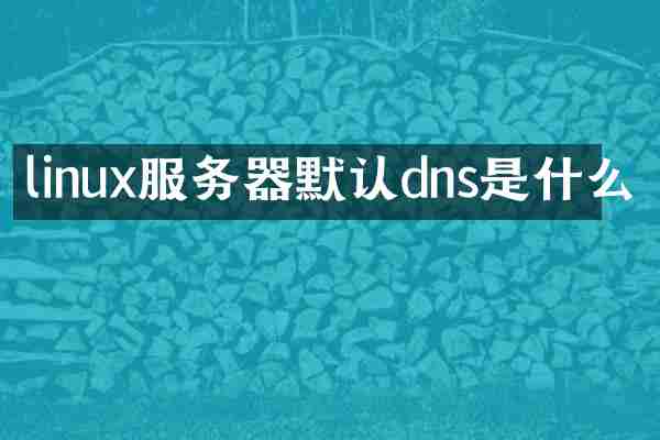 linux服务器默认dns是什么
