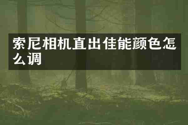 相机直出佳能颜色怎么调