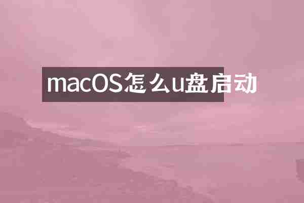 macOS怎么u盘启动